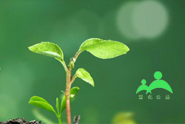 普化公益助學(xué)平臺(tái)